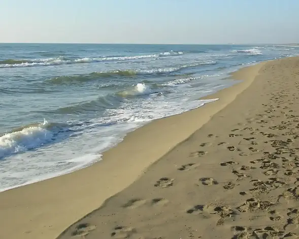 Le spiagge più belle vicino Roma Spiaggia di Capocotta