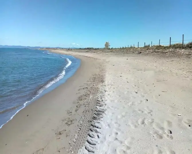 spiaggia di fregene
