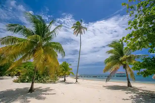 agente di viaggio Spiaggia tropicale deserta con palme ondeggianti e un pontile che si estende nel mare azzurro.